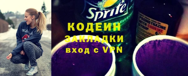 эйфоретик Гусь-Хрустальный