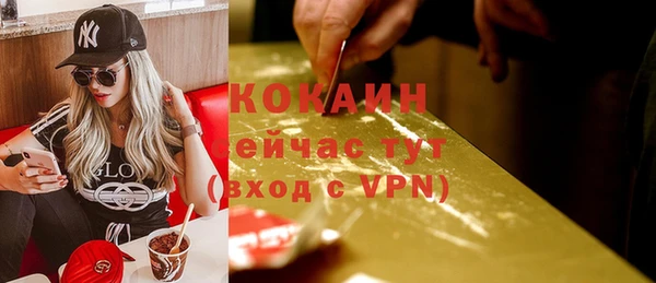 сатива Гусев