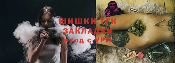 сатива Гусев