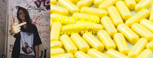 эйфоретик Гусь-Хрустальный