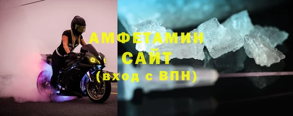 сатива Гусев