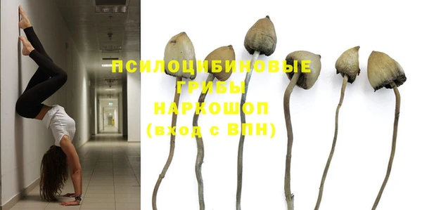 эйфоретик Гусь-Хрустальный