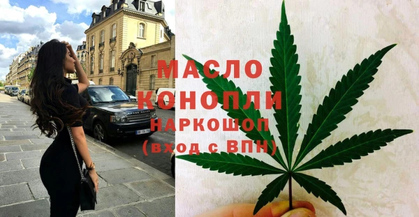 эйфоретик Гусь-Хрустальный
