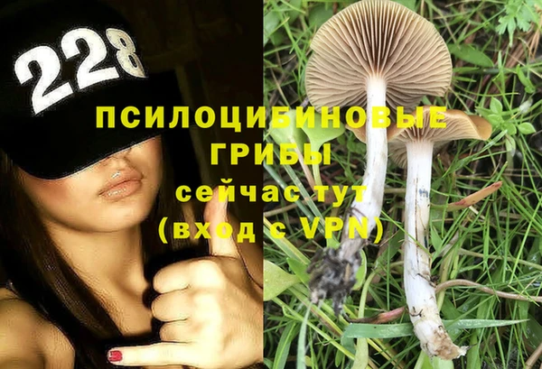 MESCALINE Гусиноозёрск
