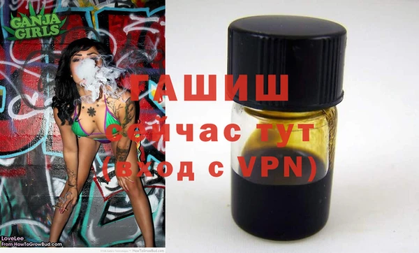 эйфоретик Гусь-Хрустальный