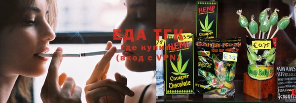 эйфоретик Гусь-Хрустальный