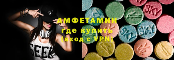 эйфоретик Гусь-Хрустальный